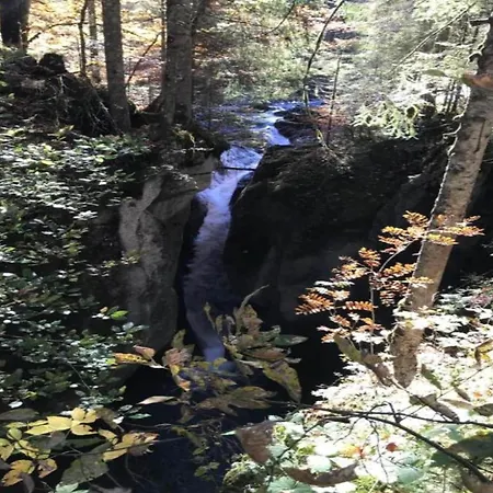 Idyllic In * Sibratsgfäll